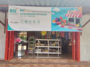 Lakupandai BSI3