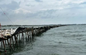 Pagar-laut-1