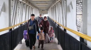 Pelindomudik2