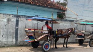 Delman-Bandung-2